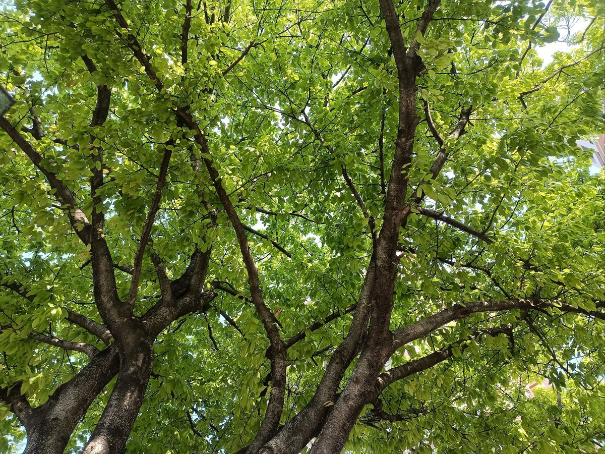 Michelle R tweet media