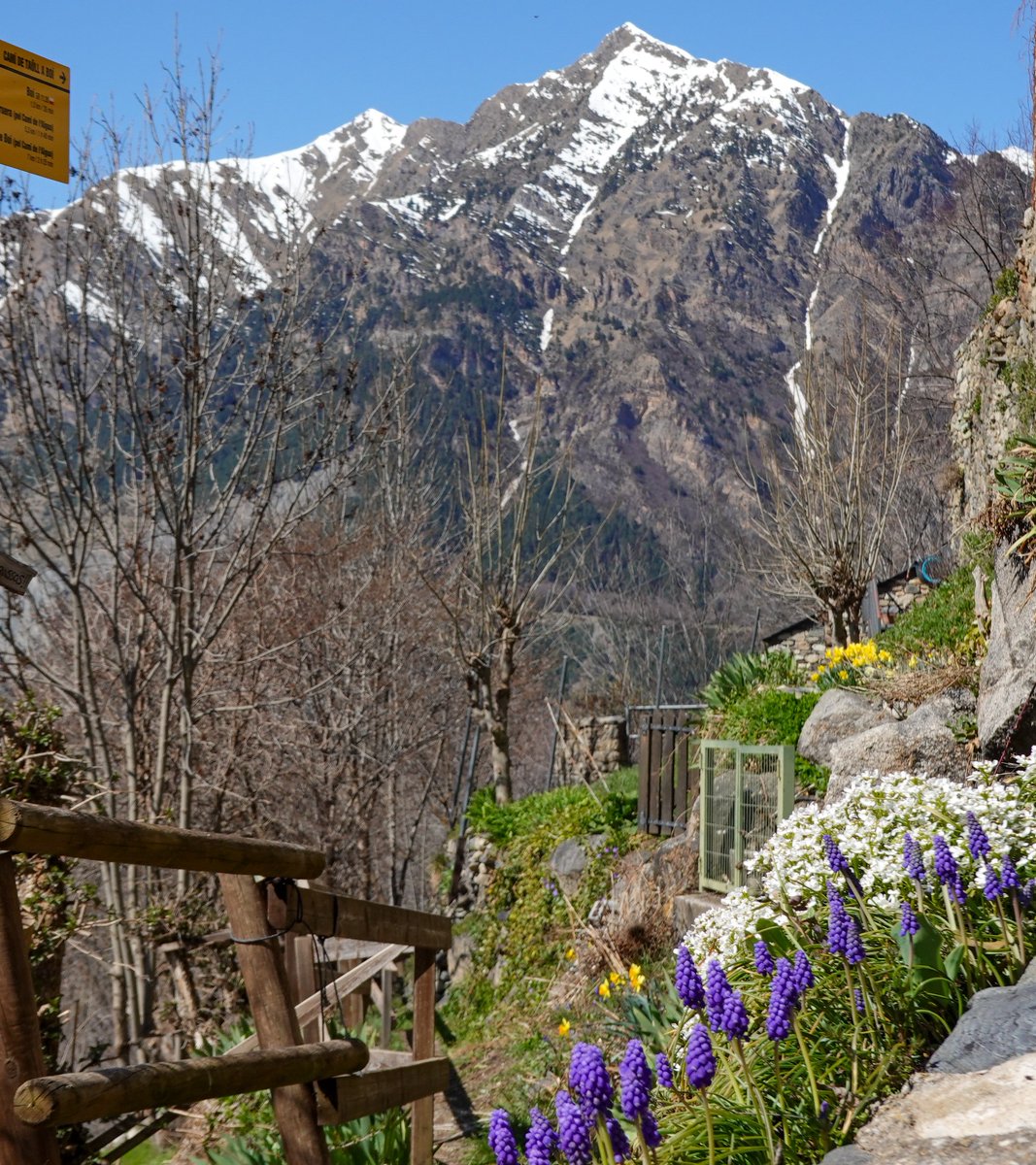 Toño Cañadas tweet media