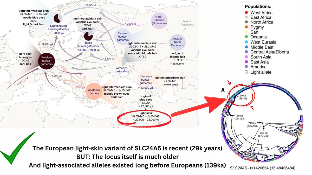 Compelling Archaeology tweet media