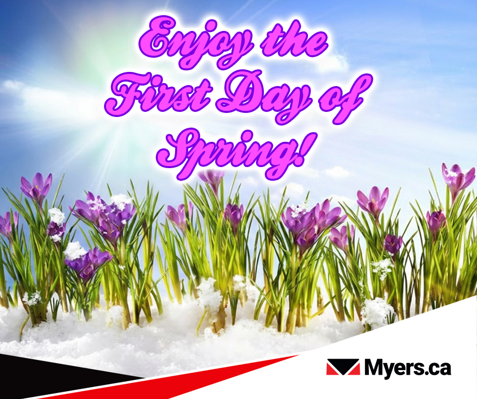 Myers Automotive Group tweet media