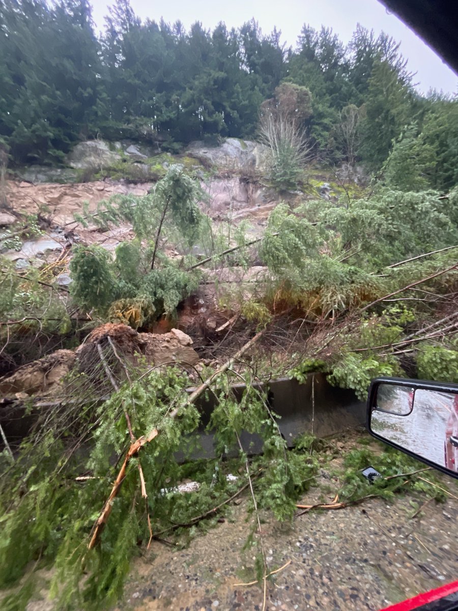 WSDOT North tweet media