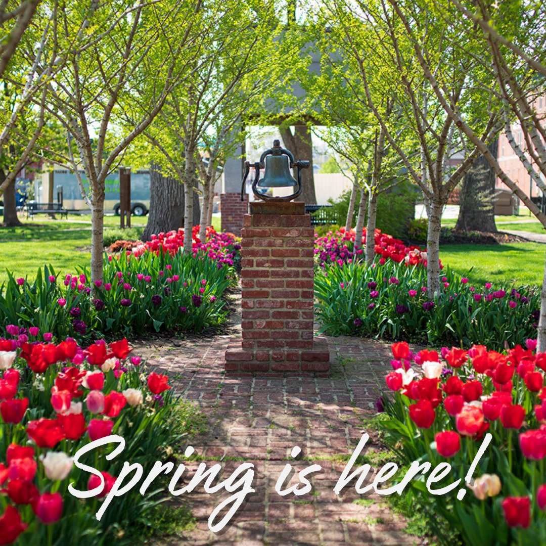 First National Bank of NWA tweet media