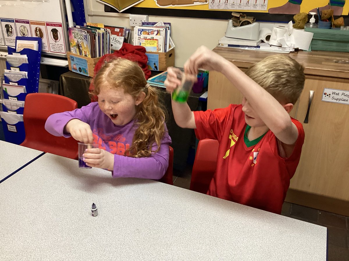 Year 4 Tankersley St Peter's tweet media