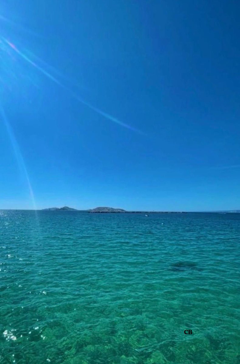 Catherine Benoist tweet media