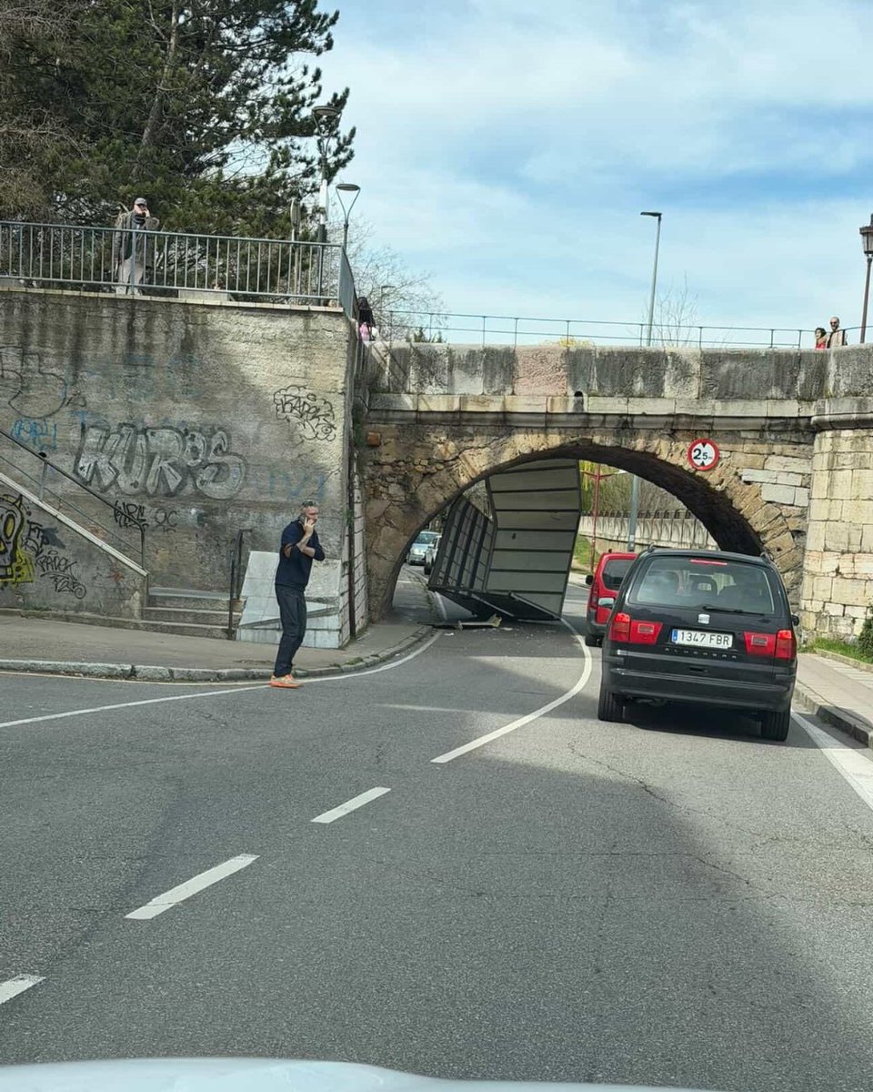 Cazurreo 🦁🦁 tweet media