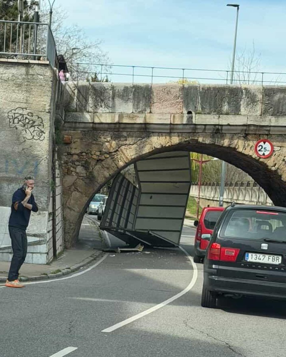 Cazurreo 🦁🦁 tweet media