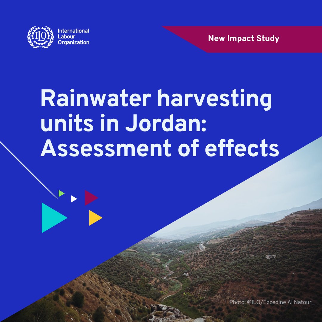 ILO Employment Policies tweet media