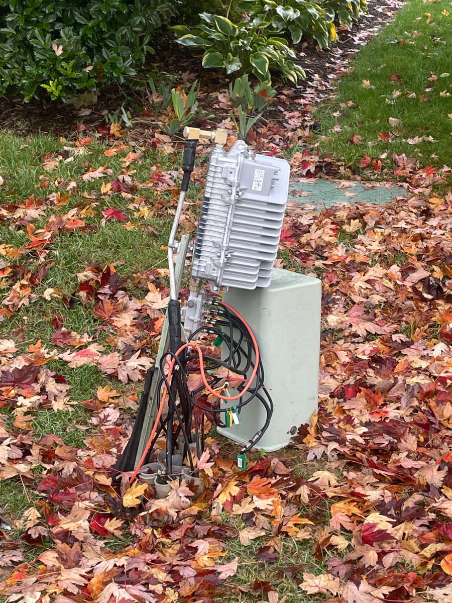 Price Rainer tweet media