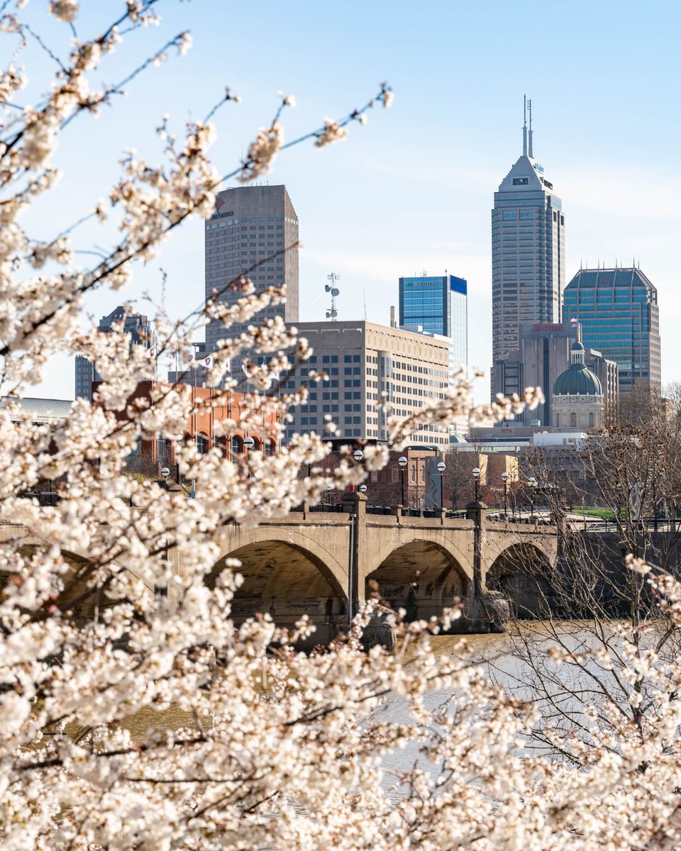 Downtown Indy Alliance tweet media