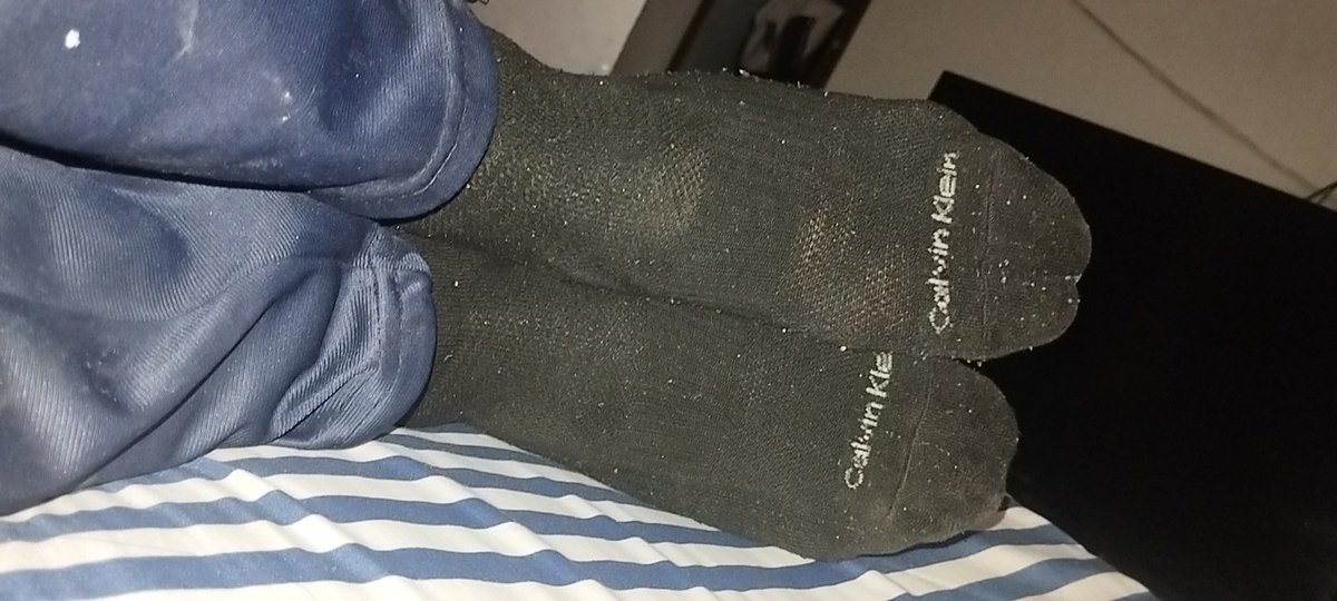 FINDON - PINTOR 👣 tweet media