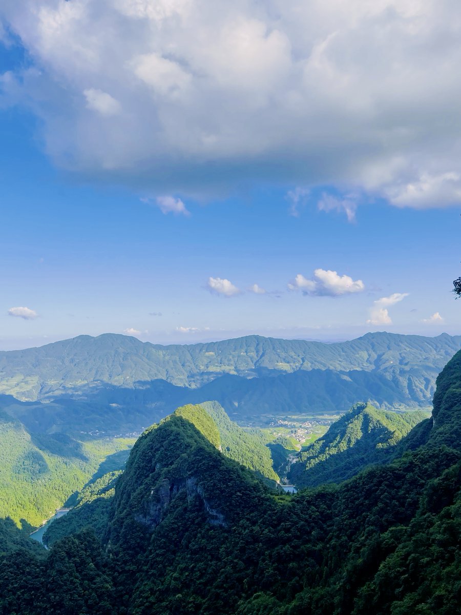 salisu abdullahi tweet media