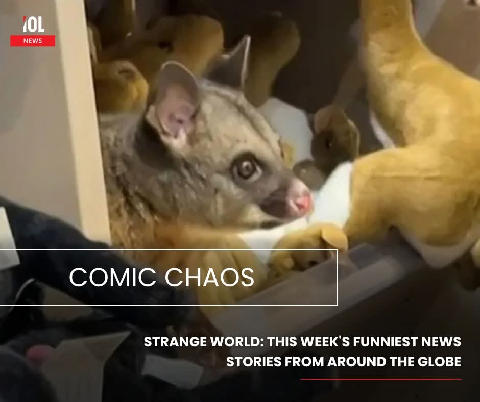 IOL News tweet media