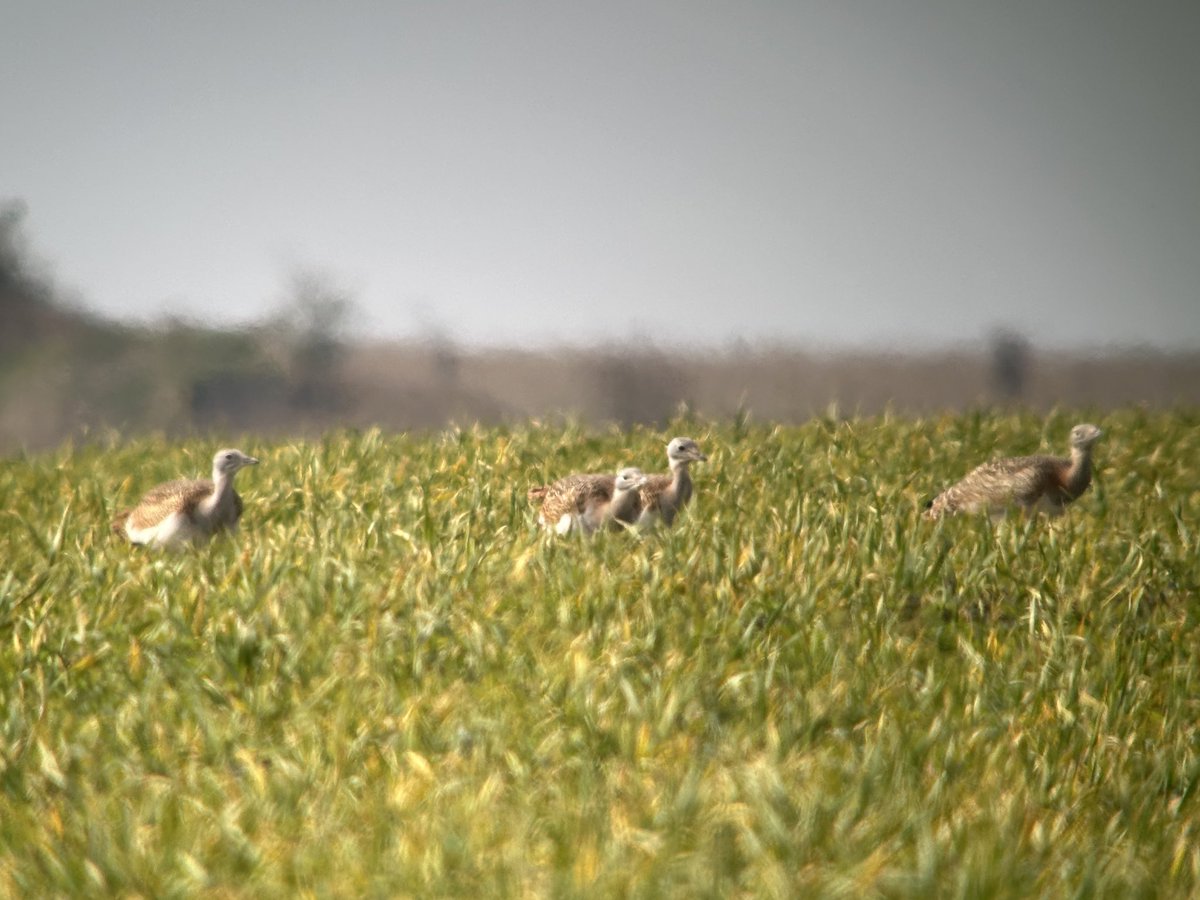 Tim Jukes tweet media