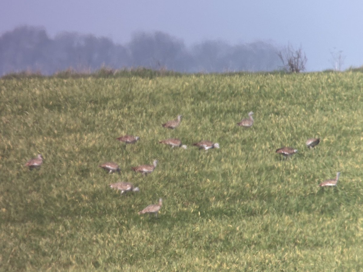 Tim Jukes tweet media