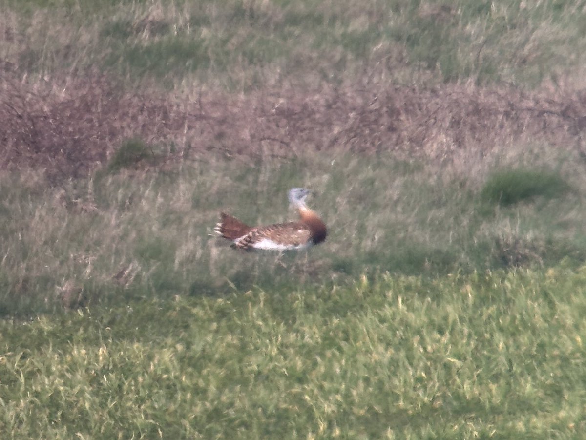 Tim Jukes tweet media