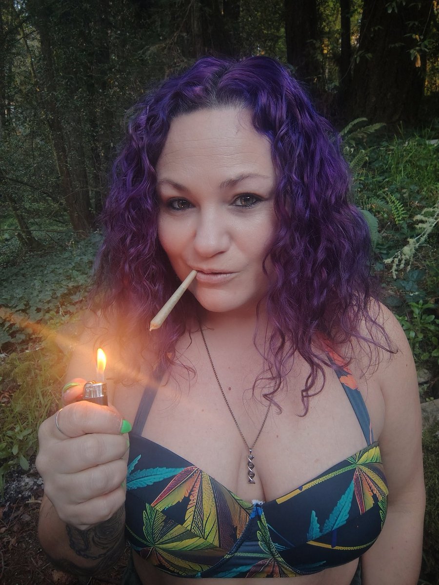 Nova Hazed tweet media