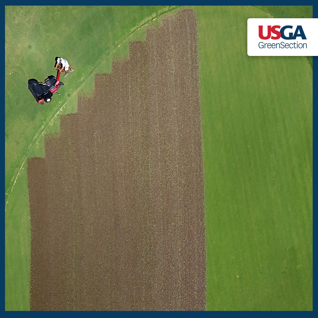 USGAGrnSection's tweet photo. We surveyed more than 170 superintendents from golf courses across the country to learn about their putting green aeration programs. The results highlight key trends in tactics and timing, along with a wide range of approaches to this important practice 👇