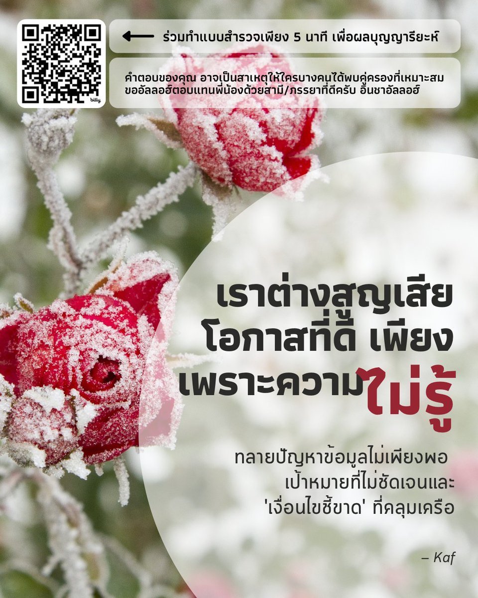 Kaf tweet media