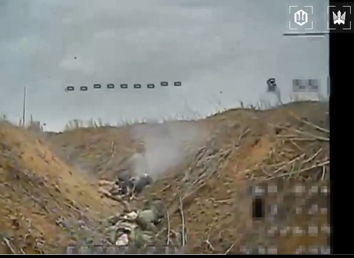 David Perez tweet media