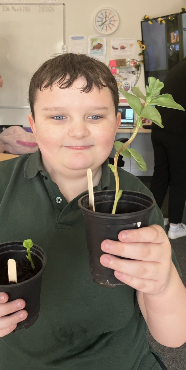 Meadow View Farm Sch tweet media