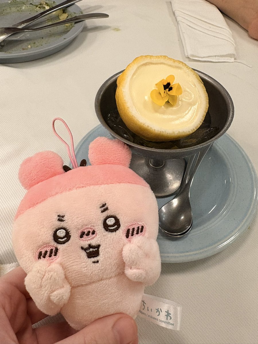 🐈meeu (miu) ₊ ⊹ tweet media