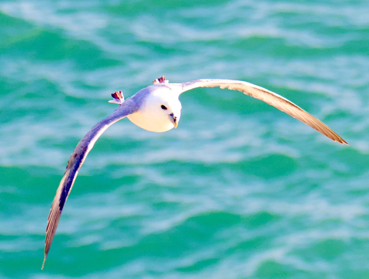 Tim Ridgeway tweet media