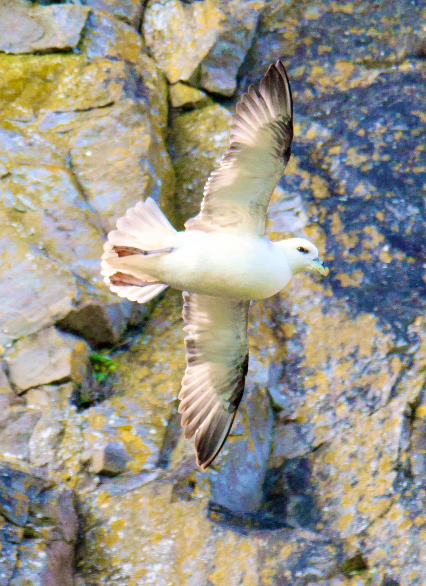 Tim Ridgeway tweet media