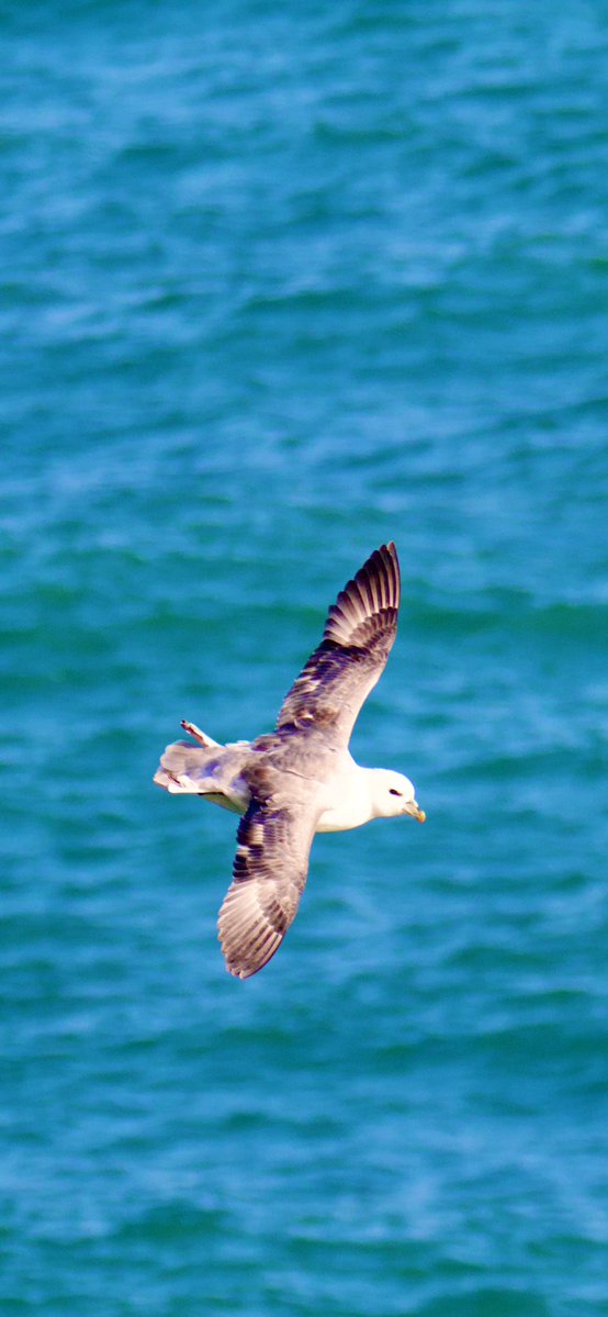 Tim Ridgeway tweet media