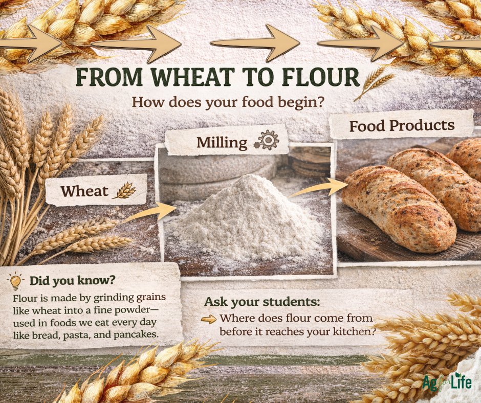 Agriculture for Life tweet media