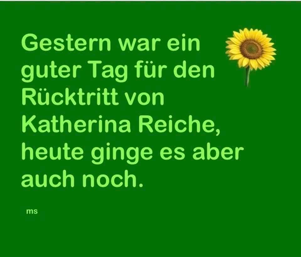 Hella 🏳️‍🌈📯WirSindMehr! tweet media