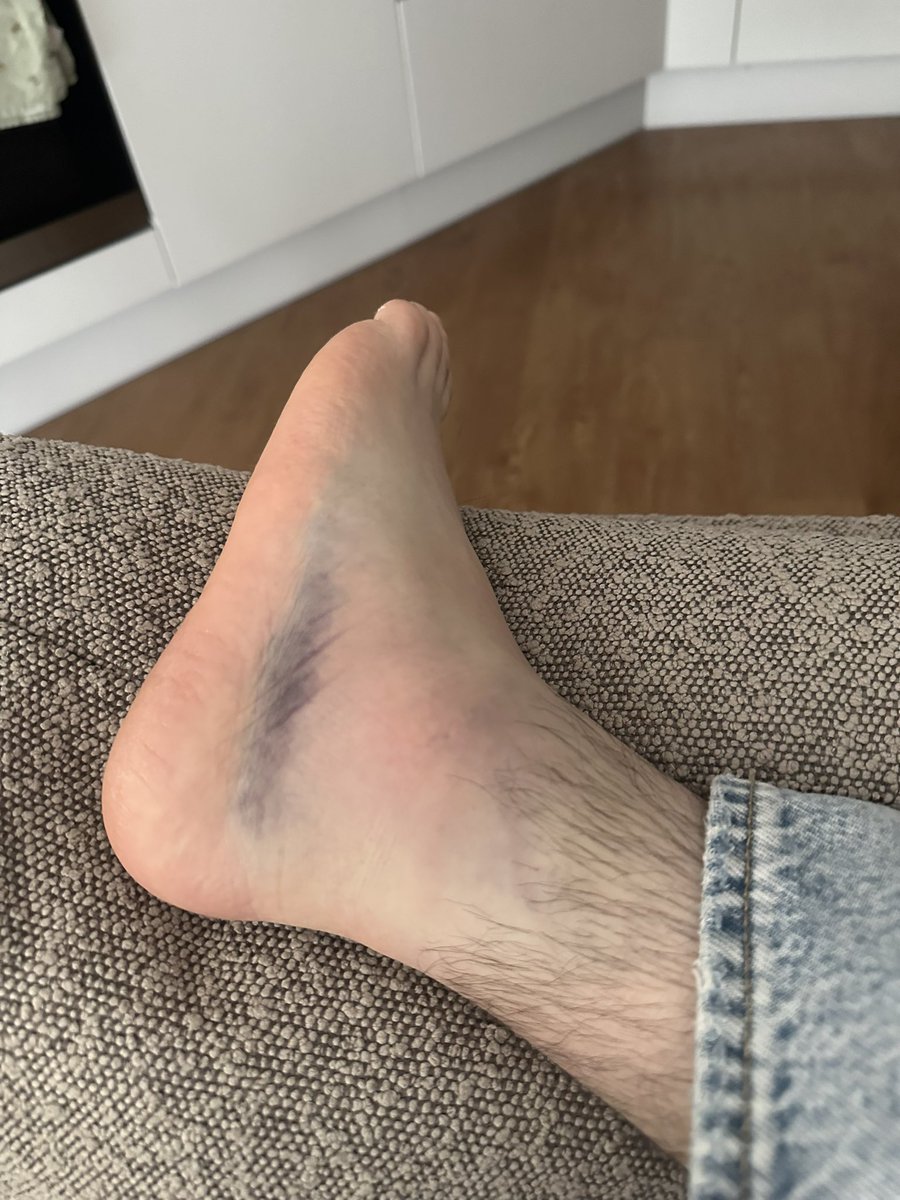 FPL Raptor (Ross) tweet media