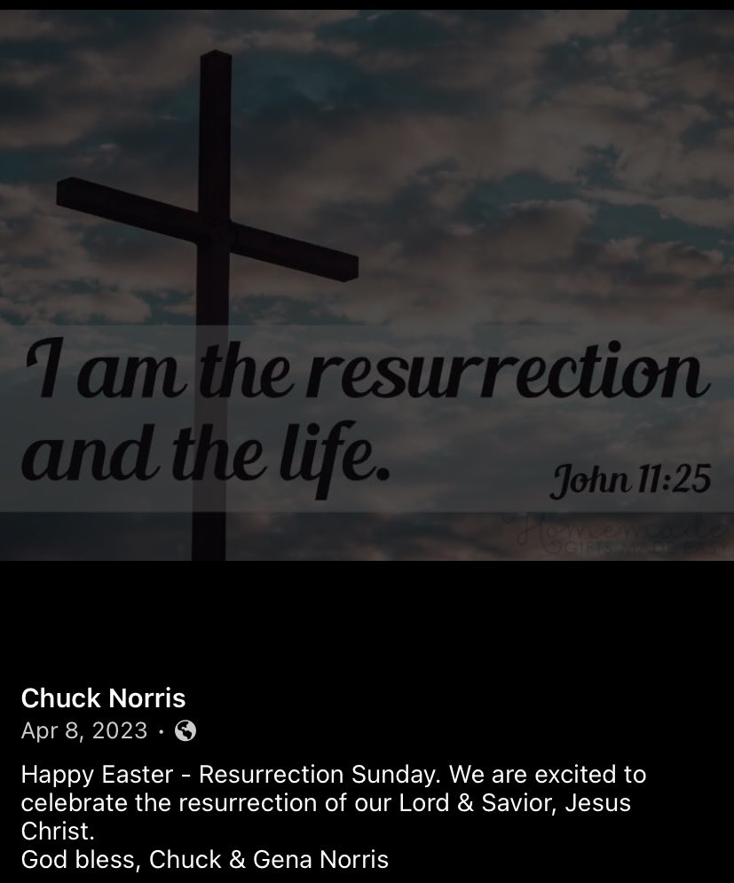 Sarah St. Onge ن ♀🦬 tweet media