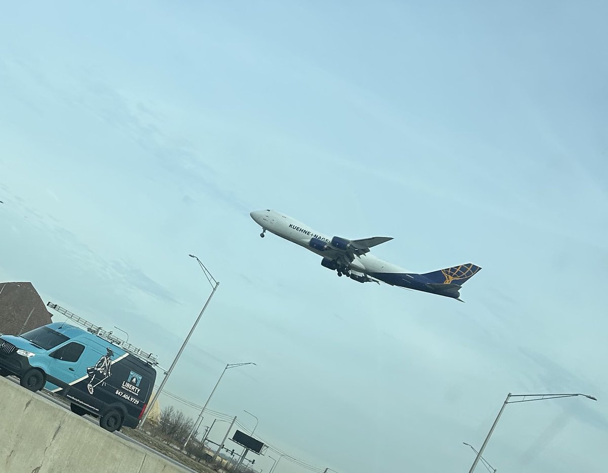 Shae Cohan tweet media