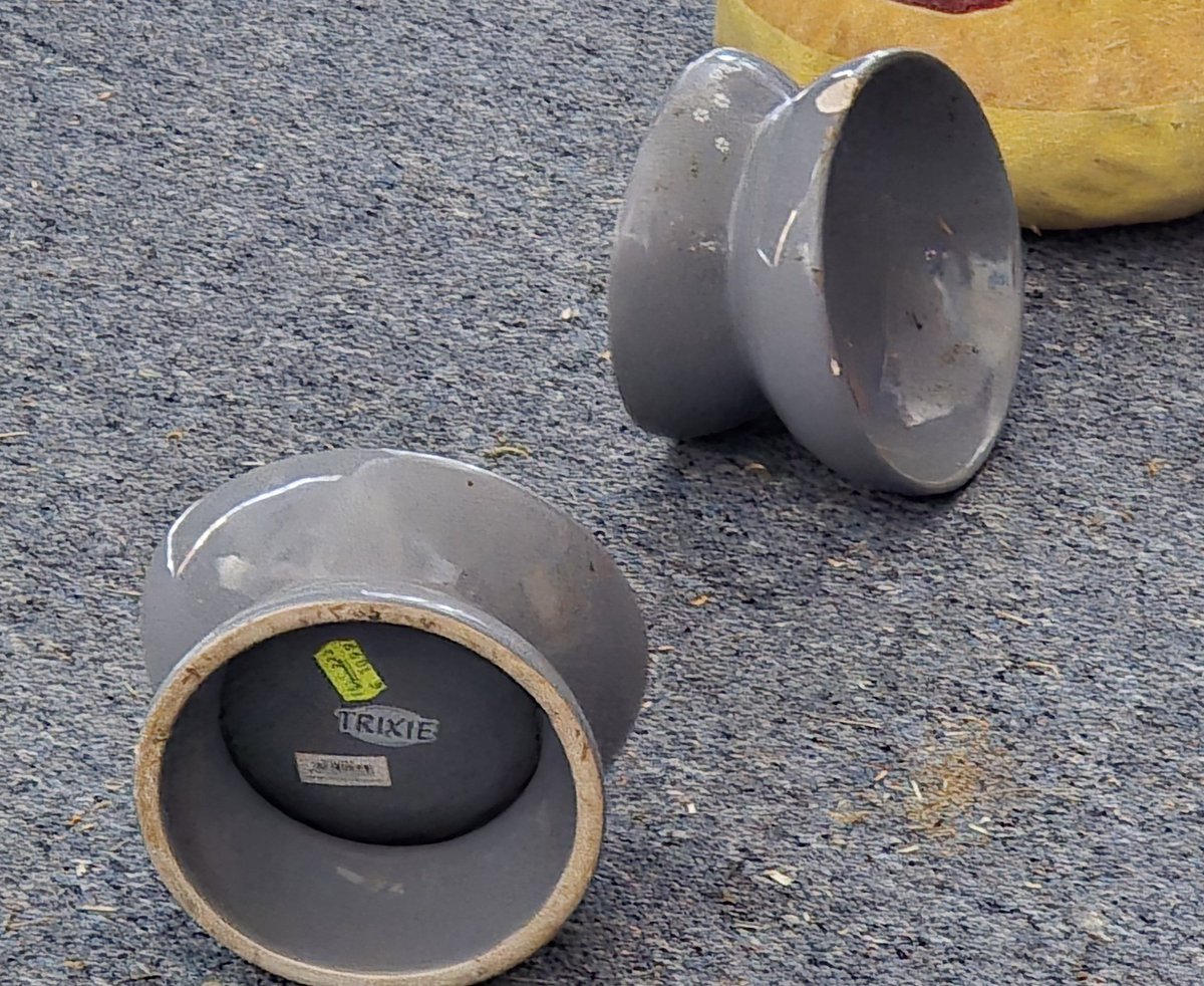 ✨ Luu ✨ tweet media