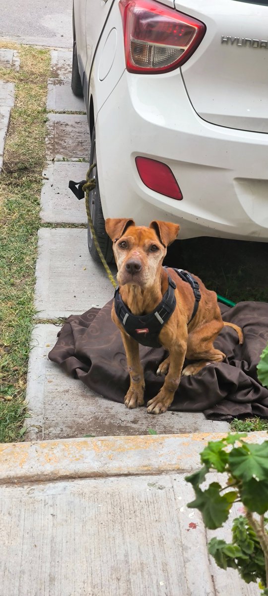 IsraelCs tweet media