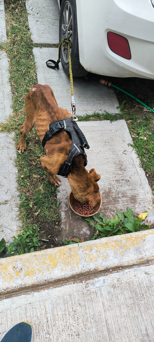 IsraelCs tweet media