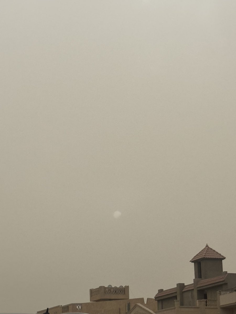 hadeer 🇵🇸 tweet media