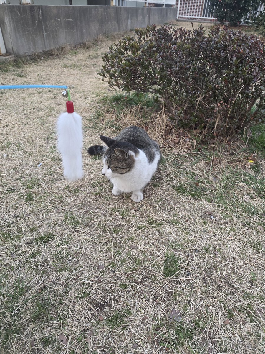 Junkarma22 tweet media