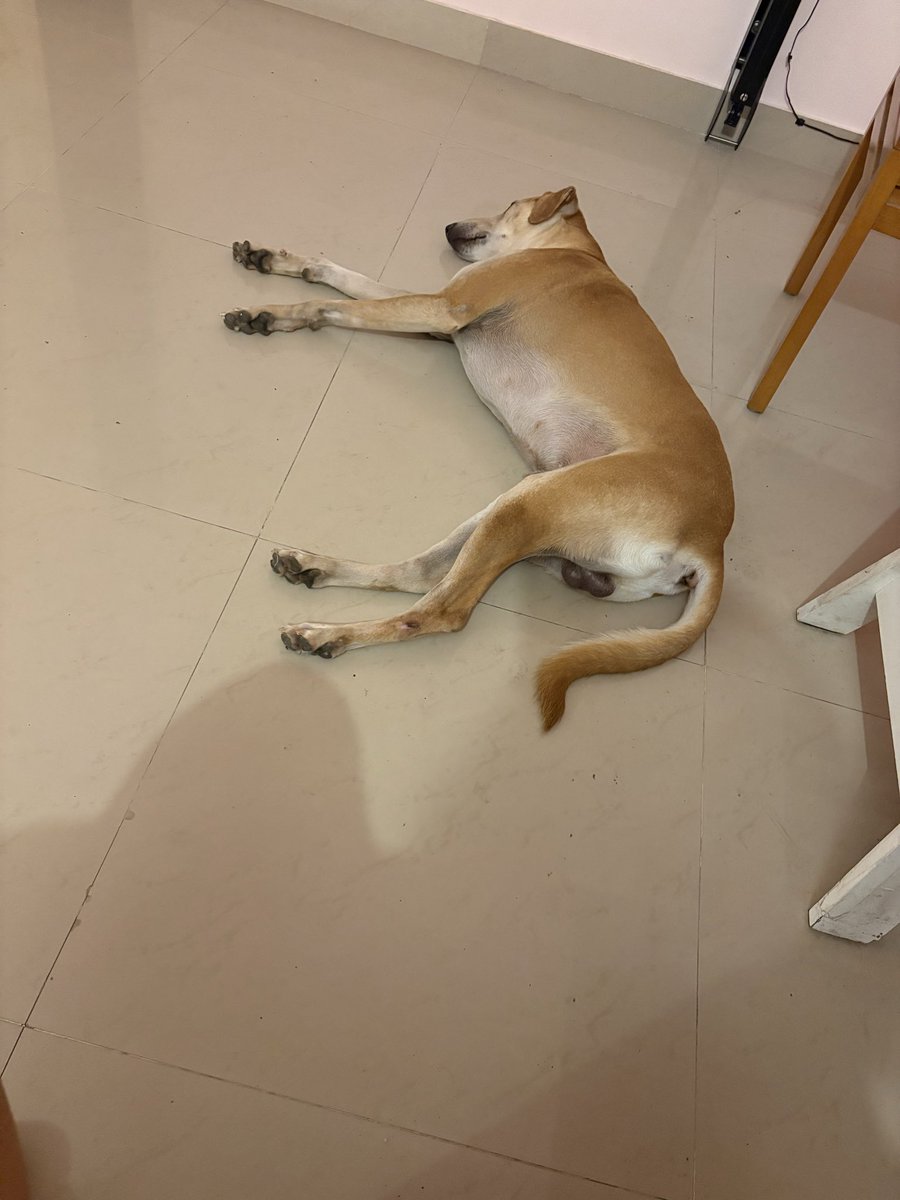 Aarti Krishnakumar tweet media