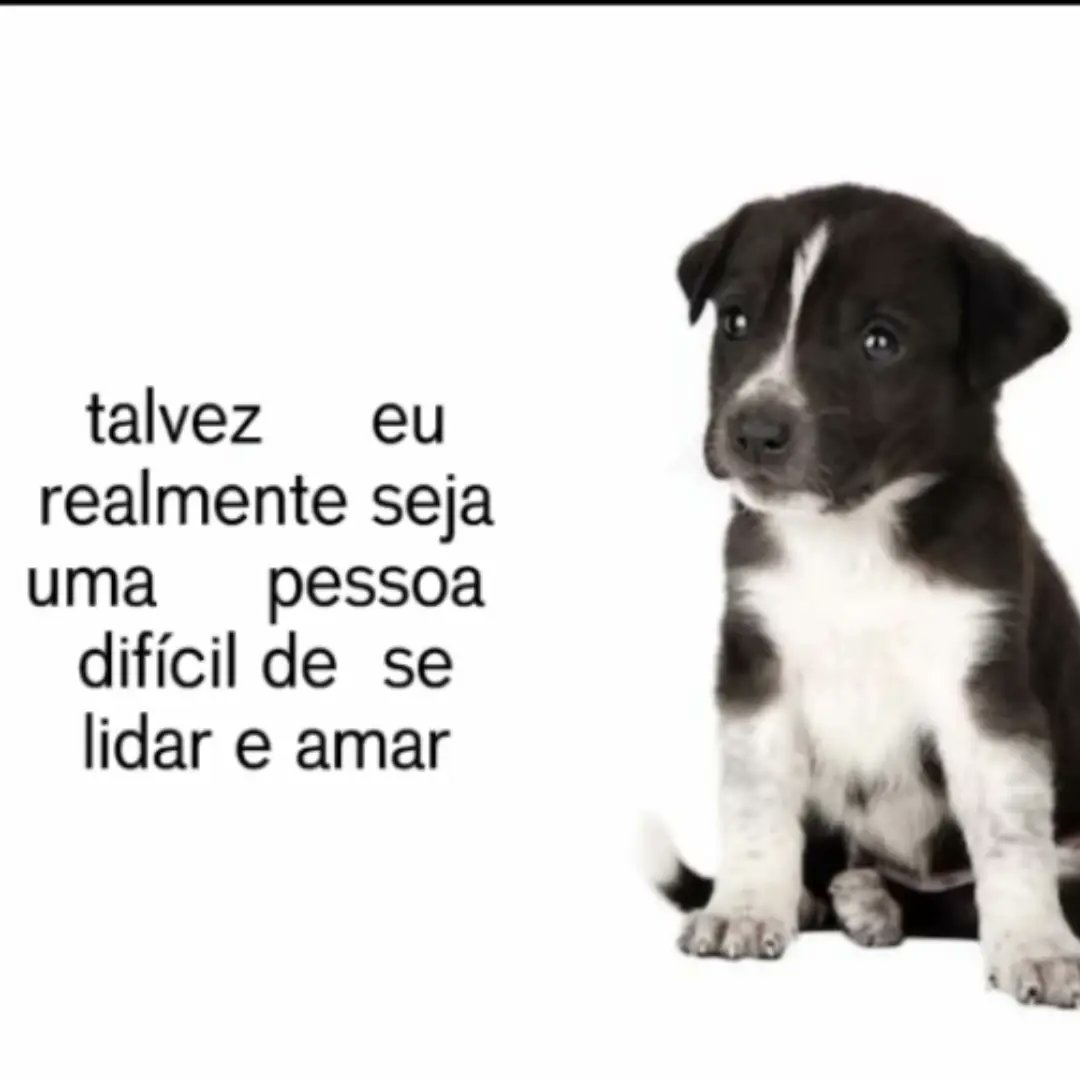 Frases em baixa qualidade tweet media