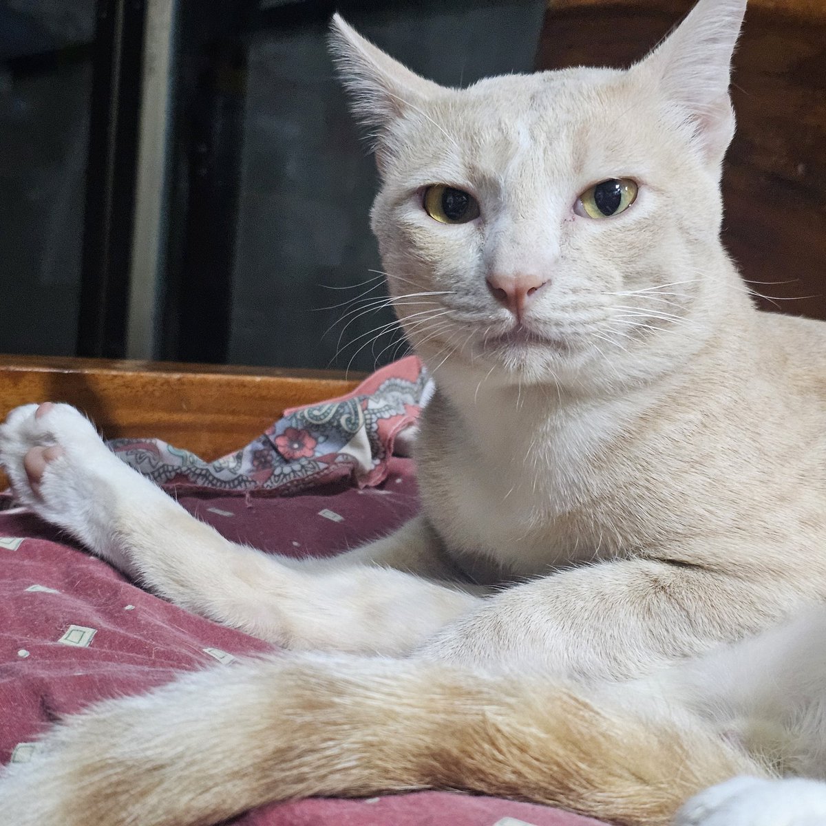 เมย์เหม่เม่เม้เหม tweet media