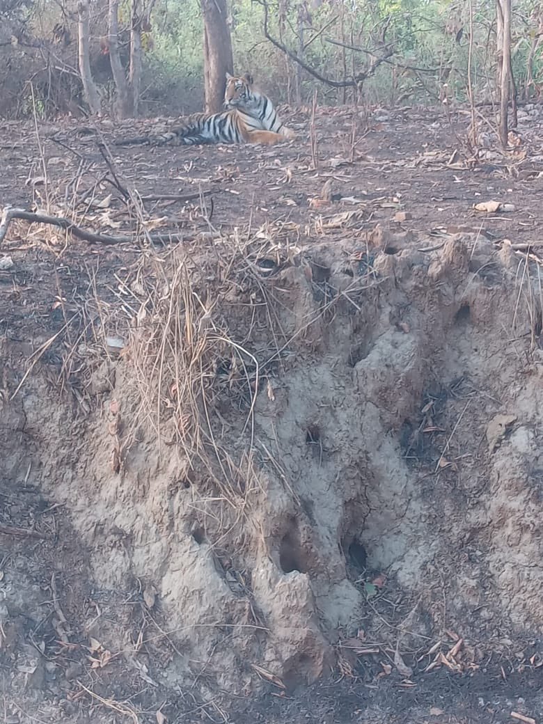 Gaurrav bhrdwj tweet media