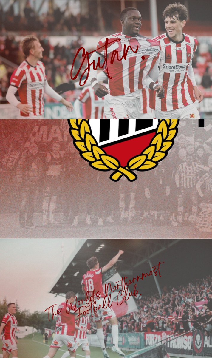 AoZetton🦋 tweet media