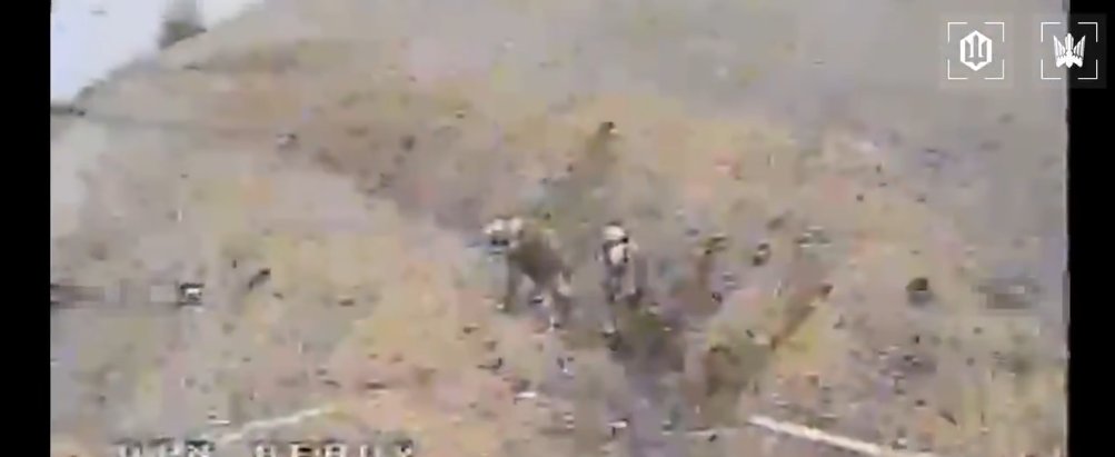 Kyle Glen tweet media