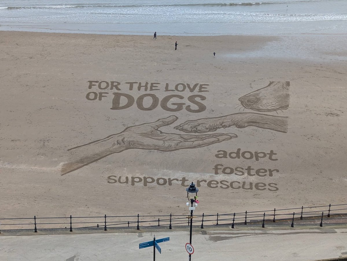 dominic dyer tweet media