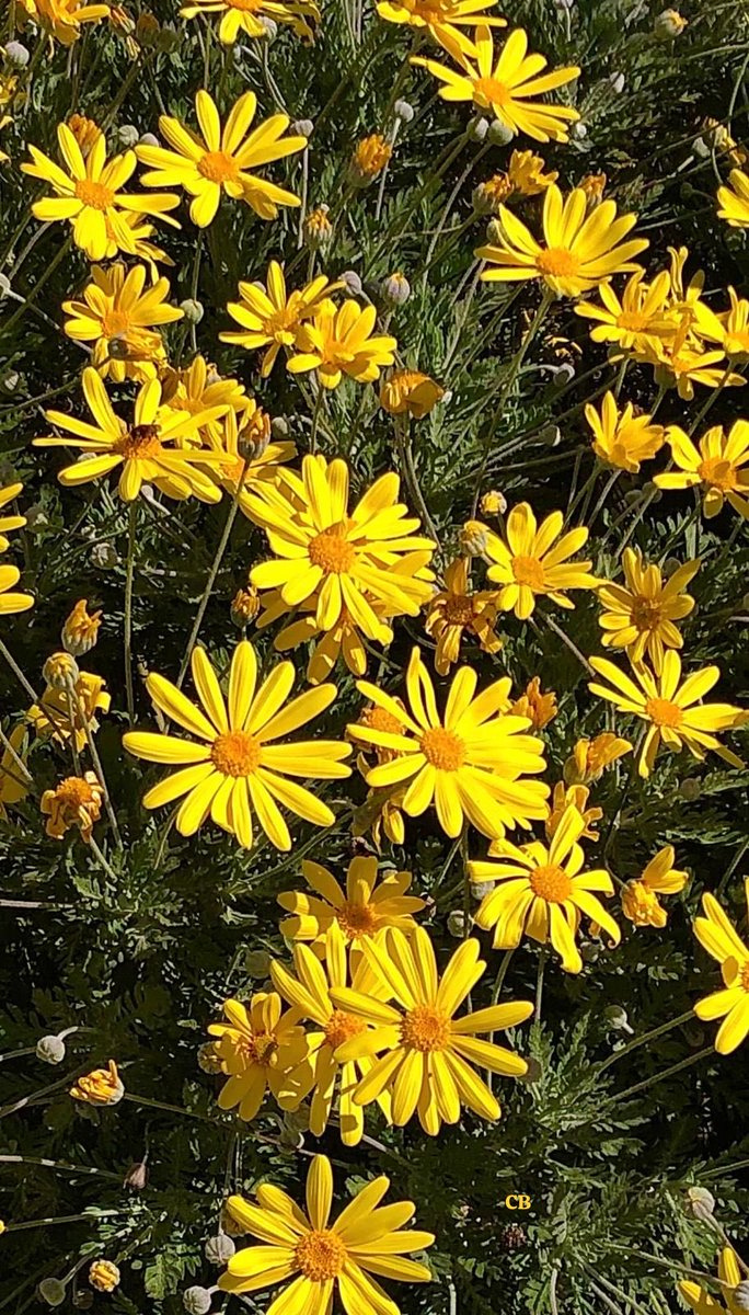 Catherine Benoist tweet media