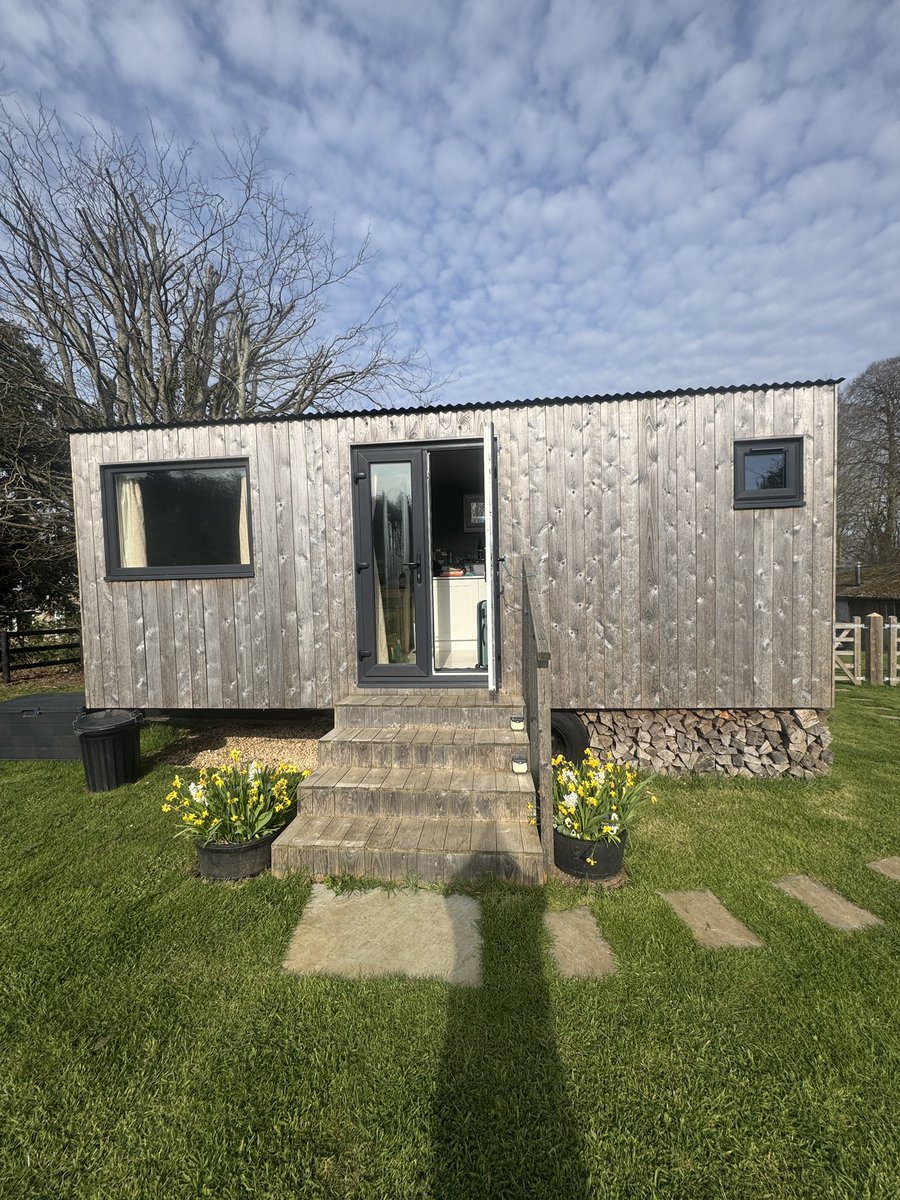 Dawn Williams tweet media