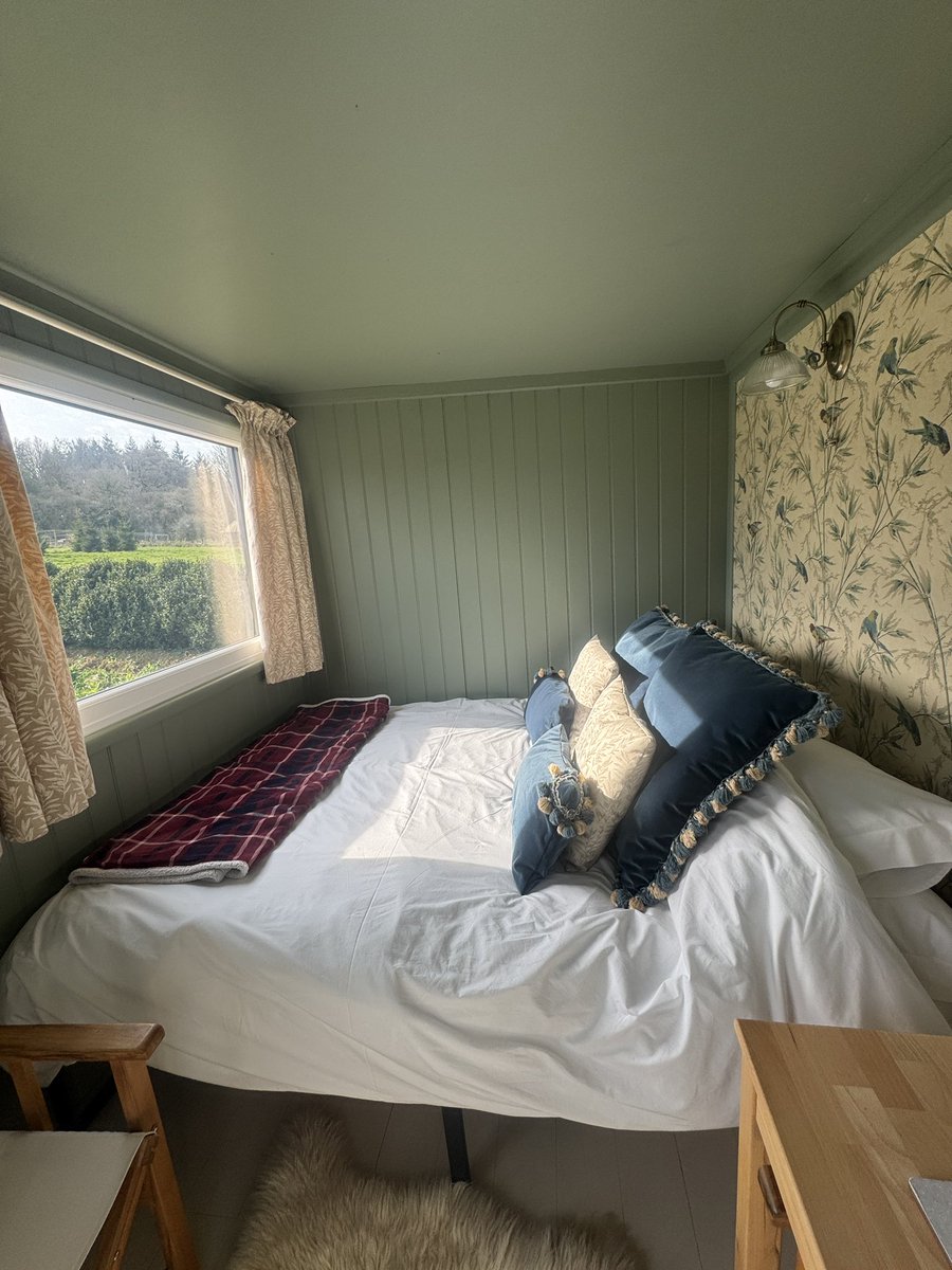 Dawn Williams tweet media