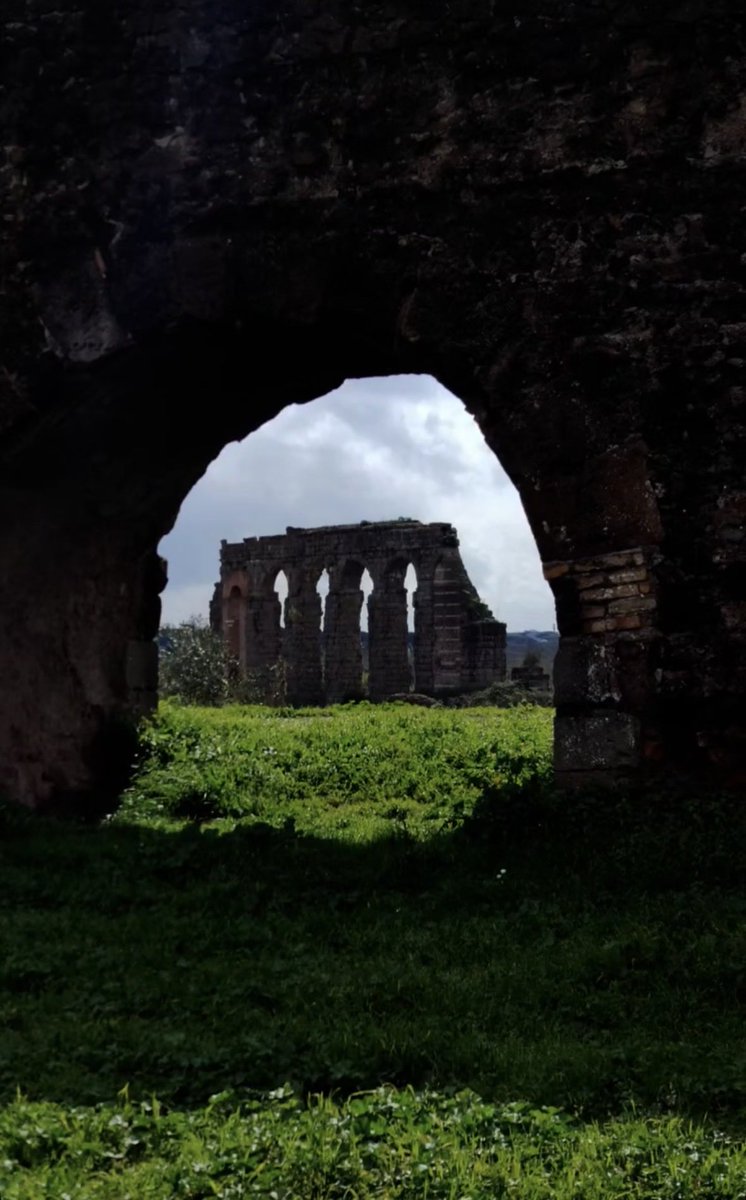 Enza Retrosi tweet media