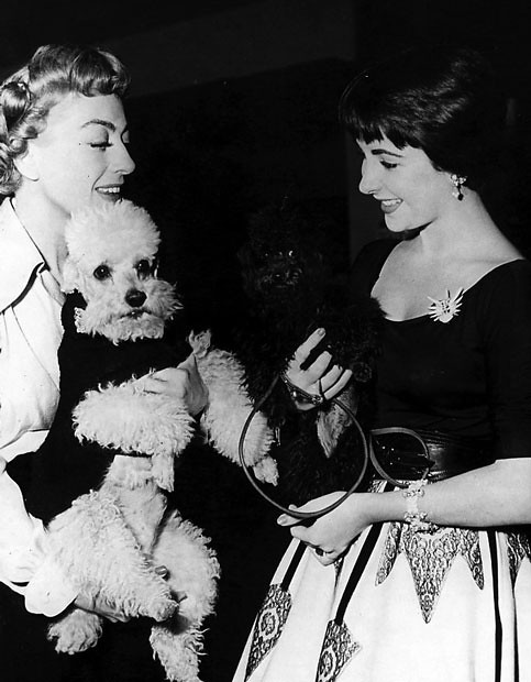 Profesor Jonk tweet media